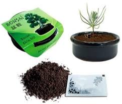 Bonsai Karacam Ekim Kiti Urun Kodu B37yt0177 Hemen Kargo 7 90 Tl Urunlerimizi Whatsappdan Siparis Vermek Icin 0530 265 72 Bonsai Garden Pots Instagram Posts