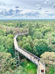 Herzstück ist der 320 meter lange pfad in 23 metern. Baumkronenpfad Beelitz Heilstatten Berlin Ausflugsziele Peterstravel