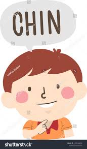 Illustration Of A Kid Boy Pointing To His Chin And Saying Chin As Part Of Naming Body Or Face Parts Series Ad Flash Cards Free English Fun Boy Illustration Follow educlips on facebook follow educlips on instagram. kid boy pointing to his chin