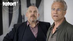 Die freiburger ermittlerin franziska tobler ermittelt ihren dritten fall. Video Damian Tatort Ard Das Erste
