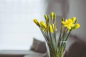 Vediamo insieme un po' di idee per realizzare un arredo con i fiori facile e veloce. Arredare Casa Con I Fiori Ecco Qualche Consiglio Meka Magazine