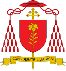Das zweite oder ein richtiges lilium. Jose Tolentino De Mendonca Wikipedia