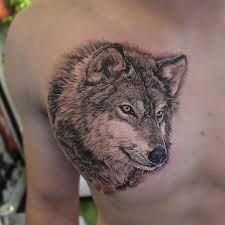 Hình xăm đầu sói đơn giản. 100 Best Tattoo Models