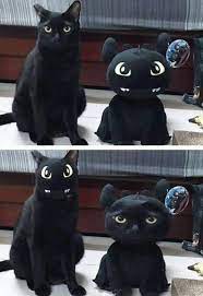 Pin On Funny