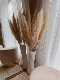 Pampas Grass Aesthetic Room Decor Bedroom Interior Apartment Decor