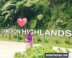 Aktiviti bergambar di kampung kuala boh, cameron highland. Syok Bercuti Di Cameron Highlands Pada Raya Aidiladha 2018 Husniey Husain