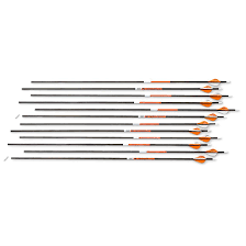 Victory Trophy Hunter 350 Arrows 12 Pack 222655 Arrows