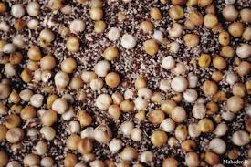 Image result for Eragrostis tef