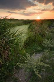 Va oferim spre vanzare un apartament cu 2 camere cu o suprafata de 52mp situat vis a vis de parcul natural vacaresti. Parcul Natural Lunca Muresului