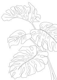 Line Art Monstera Leaves Mini Art Print By Nadja Without Stand 3 X 4 In 2020 Line Art Flowers Line Art Drawings Art Drawings