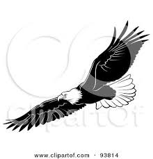 Bald Eagle Clipart Black And White Bald Eagle By Dero Eagle In Flight Bald Eagle Clip Art Pictures