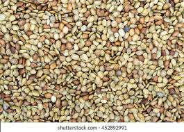 Image result for Macrotyloma uniflorum