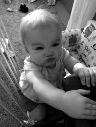 Commodore's Comments