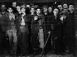 Prisoner B-3087 Summary And Study Guide | Supersummary