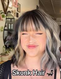 Budget-friendly stylist recommendations needed