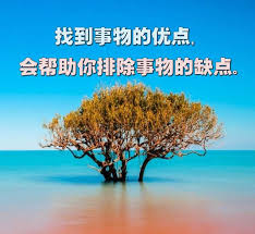 找到事物的优点 会帮助你排除事物的缺点 lockscreen screenshot screenshots lockscreen