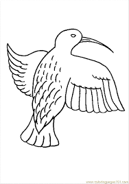 The original format for whitepages was a p. Hummingbird Coloring Pages Coloring Page For Kids Free Hummingbird Printable Coloring Pages Online For Kids Coloringpages101 Com Coloring Pages For Kids