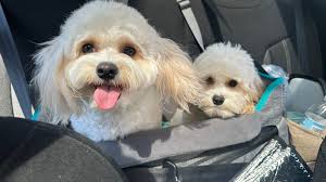 I adore this boy 💙