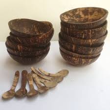 Wholesale Set Coconut Bowl Price Include Shipping Small Size 3 5 X 1 5 Inch Coconut Shell Crafts Coconut Bowl Shell Crafts Diy