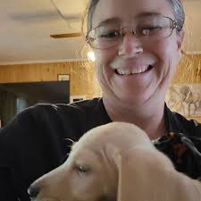 What is the yellow substance in this quartz piece?