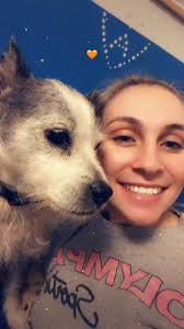 This is my 16 year old Jack Russell/ Boston Terrier, he has been my best  friend and soon I will have to say goodbye my love : r/jackrussellterrier