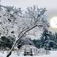 WHIDBEY | WINTER    — Jennifer Isaacson event image
