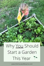 How to start a small vegetable garden from scratch. Everyone Should Start A Garden This Year Starting A Garden Small Vegetable Gardens Vegetable Garden Design
