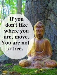 If You Don T Like Where You Are Move You Are Not A Tree Buddha Quotes Inspirational Buddha Quote Wisdom Quotes