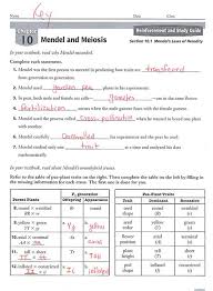 Use this answer key to help you assess students' work on their compare a cell to a factory student sheet. Full Download Chapter 10 Mendel And Meiosis Worksheet Answers Free Kindle