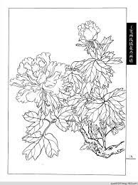 工笔画白描 牡丹 水韵清香 水韵清香 silhouette stencil graphic design illustration chinese art