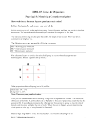 Suppose a father of blood type a and a mother of blood type b have a child of type o. Mendelian Genetics Worksheet Answers