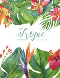 Maybe you would like to learn more about one of these? Pin On Tropic