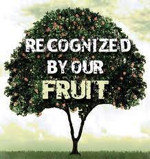 In christian life, you have to be productive; Discipleship Synthetic Gospel