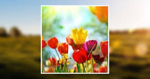 Elvia Estelle Cates Obituary January 24, 2016