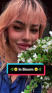 Hazel Glen College Production