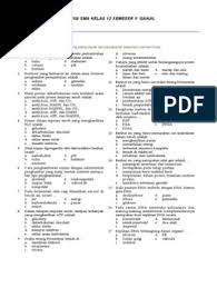 Contoh Soal Biologi Kelas 12 Semester 1 Kurikulum 2013 Guru Paud