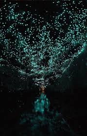 Catherine nelsson is no longer employed by the country fire authority. Glow Worm Cave In Waitamo New Zealand With Images Glow Worm Cave Magical Places Scenery