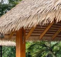 7 Reasons To Choose Synthetic Palm Instead Of Natural Palm ...