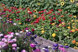 Wir sind eine kleine familie und suchen ein eigenheim mit garten zum spielen für unsere tochter in. Garten Und Friedhofsamt