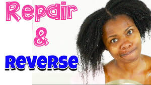 Hair damage repair can be frustrating, but it is fairly easy to spot hair damage, as damaged hair often appears dull, lifeless, thin and unruly. How To Repair Heat Damaged Natural Hair Without Cutting It Youtube