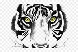 Tiger head clipart vectors (57). Tiger Tattoos Png Transparent Images Tiger Face Clipart Black And White Png Download 640x480 6488413 Pngfind