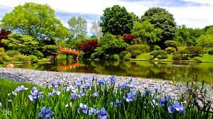 From St Louis To Hannover Japanese Garden Missouri Botanical Garden Botanical Gardens