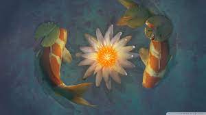 Set of sea creatures on white background vector. Koi Wallpapers Wallpaper Collection Wallpaper Wallpapers Koi Wallpaper Hd 2048x1152 Wallpaper Teahub Io