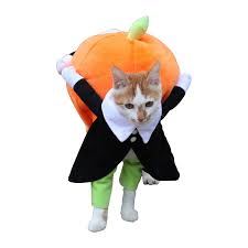 Kopek Giysileri Cadilar Bayrami Komik Pet Kabak Kostum Hayvan Cosplay Ozel Etkinlikler Giyim Kiyafet Kopek Sevimli Kostumleri Kedi Giyim Aliexpress