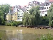 Image result for dali48 wikipedia