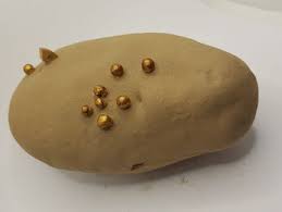 Bildergebnis für Eve Ariza