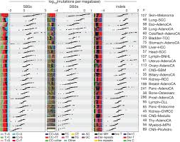 Back them up with references or personal experience. The Repertoire Of Mutational Signatures In Human Cancer Nature