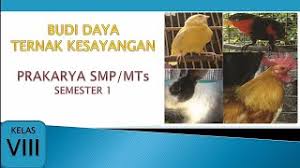 Bab ii teknologi informasi dan komunikasi (tik). Materi Prakarya Kelas 8 Bab 2 Semester 1