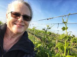 Conroe Parks and Recreation activities