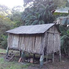 Sitio Casa Velha E Jaguatirica Home Facebook